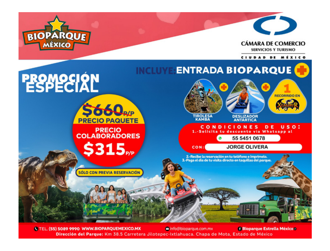 Promoción Cuponera 11