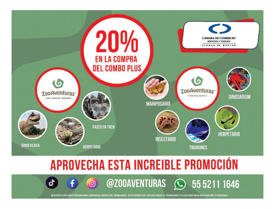 Promoción Cuponera 13