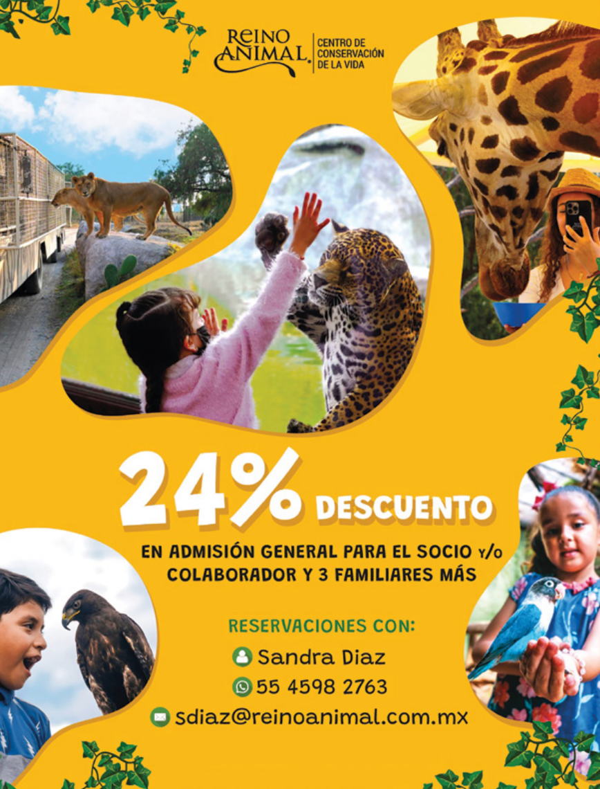 Promoción Cuponera 17